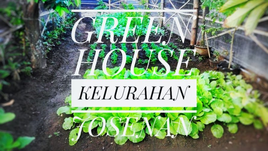 Green House Kelurahan Josenan